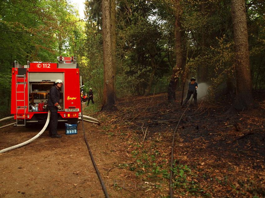 Waldbrand Bergisch Gladbach Bensberg P174.JPG